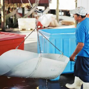 Commercial seafood worker handling a catch at a processing dock