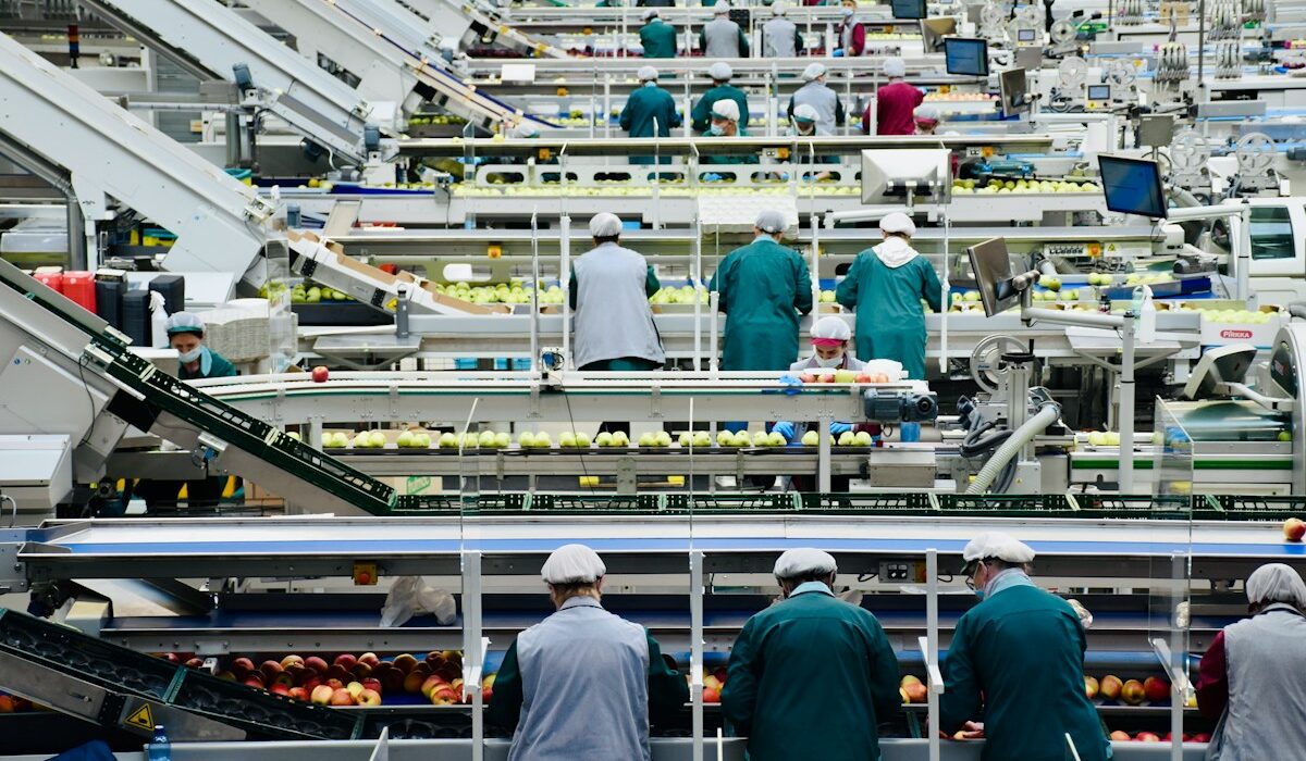 Automated industrial food processing equipment inside a factory